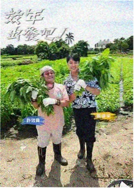 野鸡电影播放《野路子旅行团》节目画面
